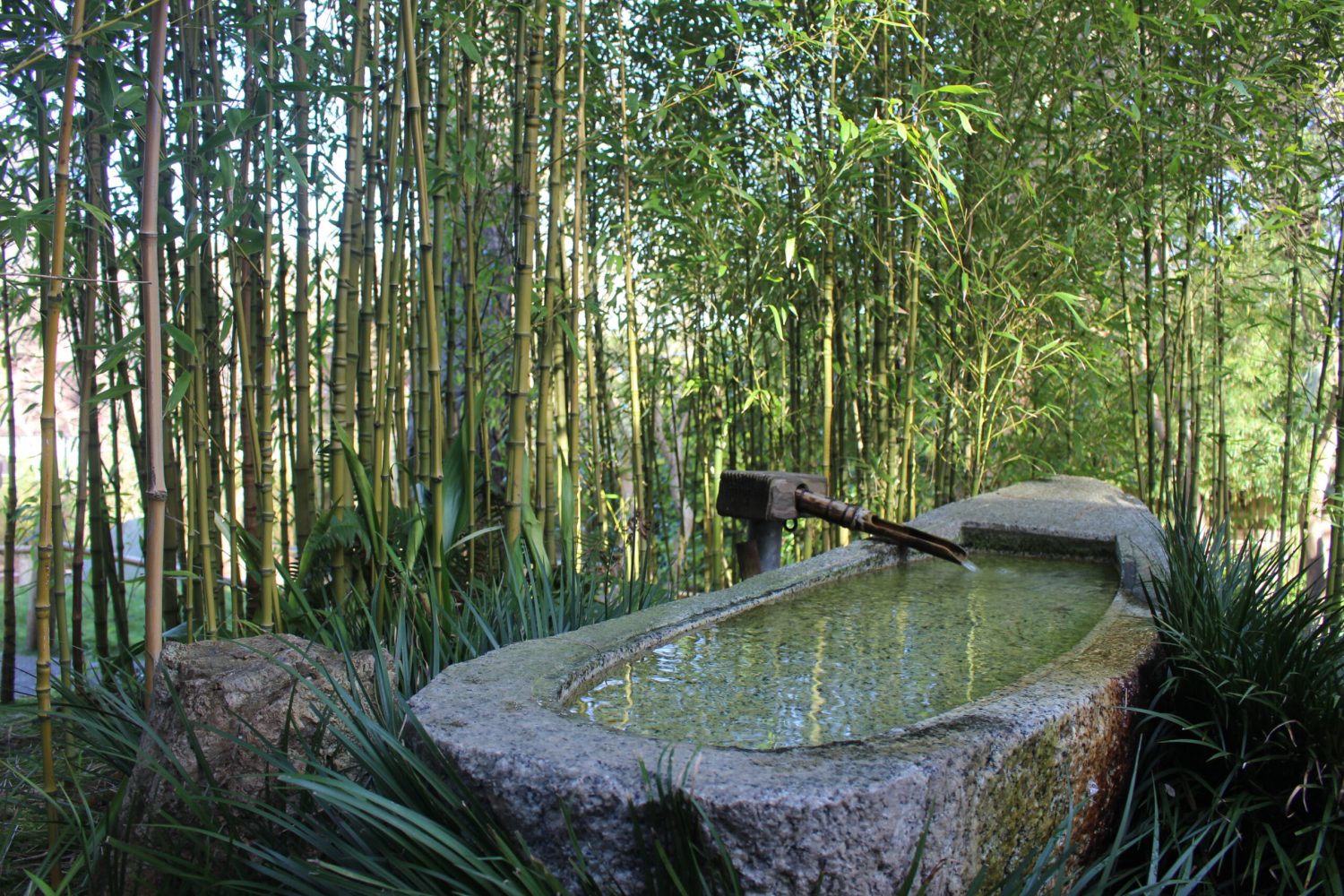 miriam-rauch-trainerin-4 miriam-rauch-trainerin-4