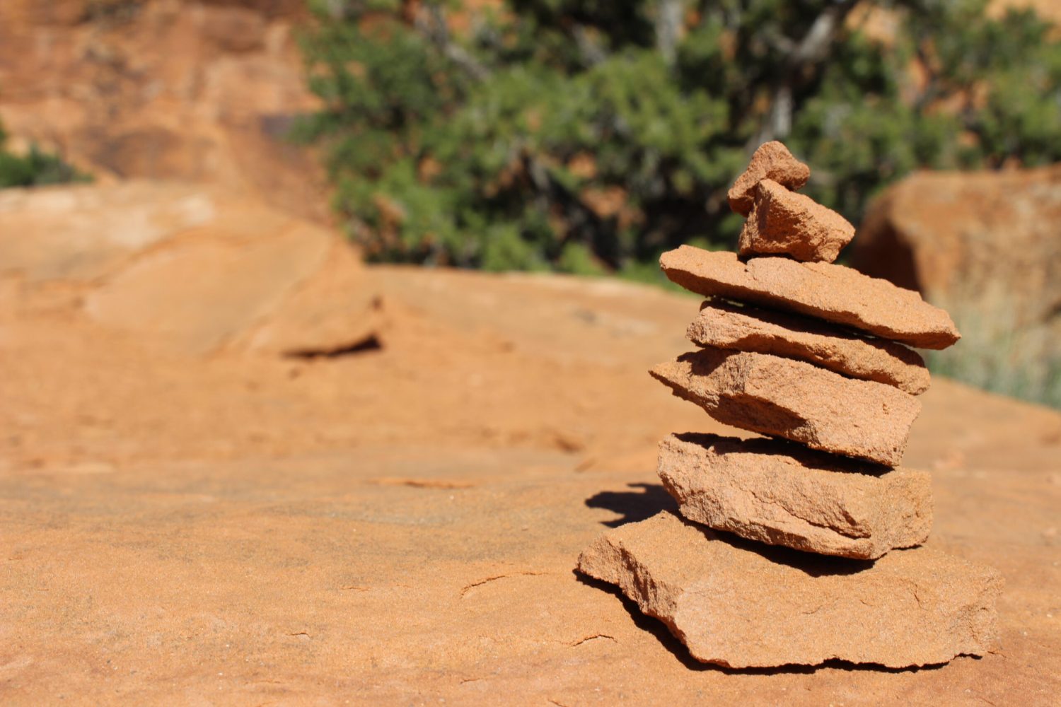 miriam-rauch-trainerin-8 miriam-rauch-trainerin-8